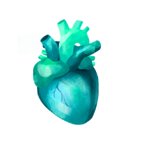 Illustration Kardiologie (Kooperationspartner)